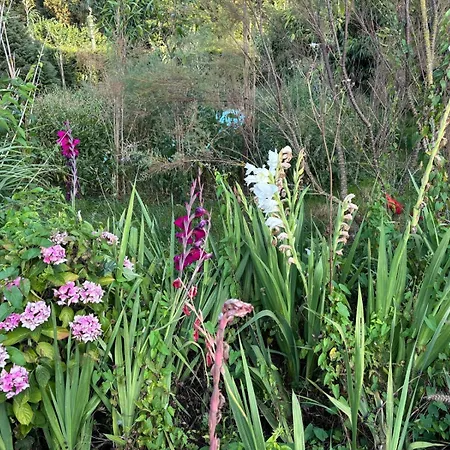 住宿加早餐酒店 Hameau Fleuri