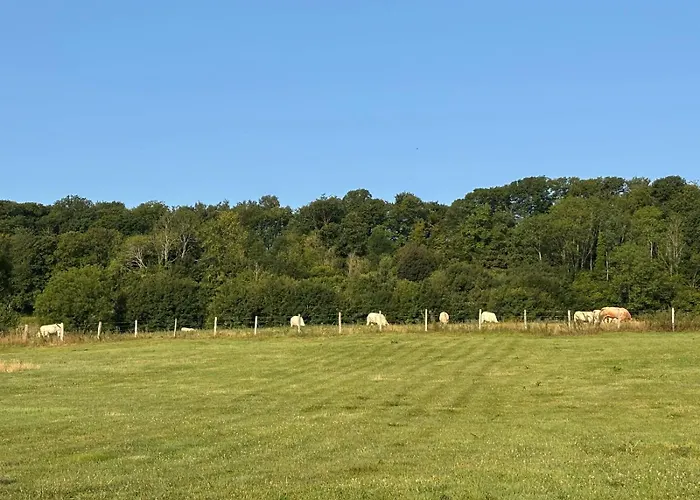 Hameau Fleuri Bed & Breakfast Pierrefitte-en-Auge