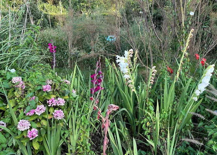 Bed & Breakfast Hameau Fleuri